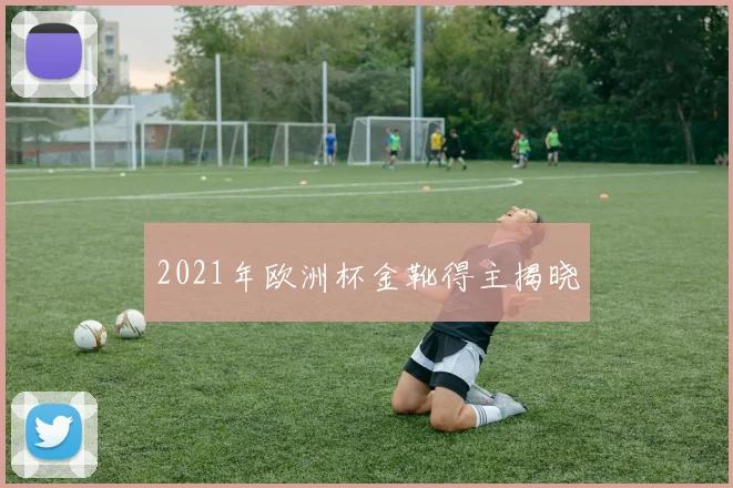 2021年欧洲杯金靴得主揭晓