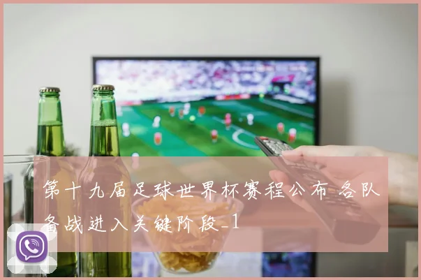 第十九届足球世界杯赛程公布 各队备战进入关键阶段_1