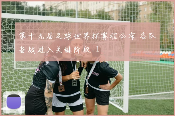 第十九届足球世界杯赛程公布 各队备战进入关键阶段_1