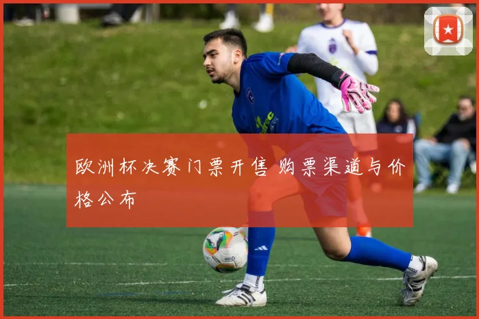 欧洲杯决赛门票开售 购票渠道与价格公布